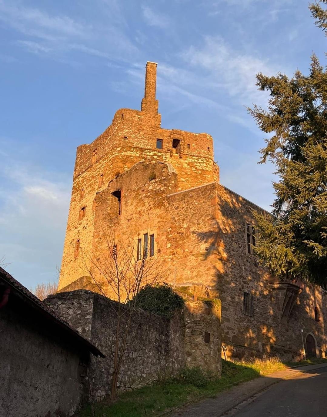 فيتسلار Burg Hermannstein - Kings Room المظهر الخارجي الصورة
