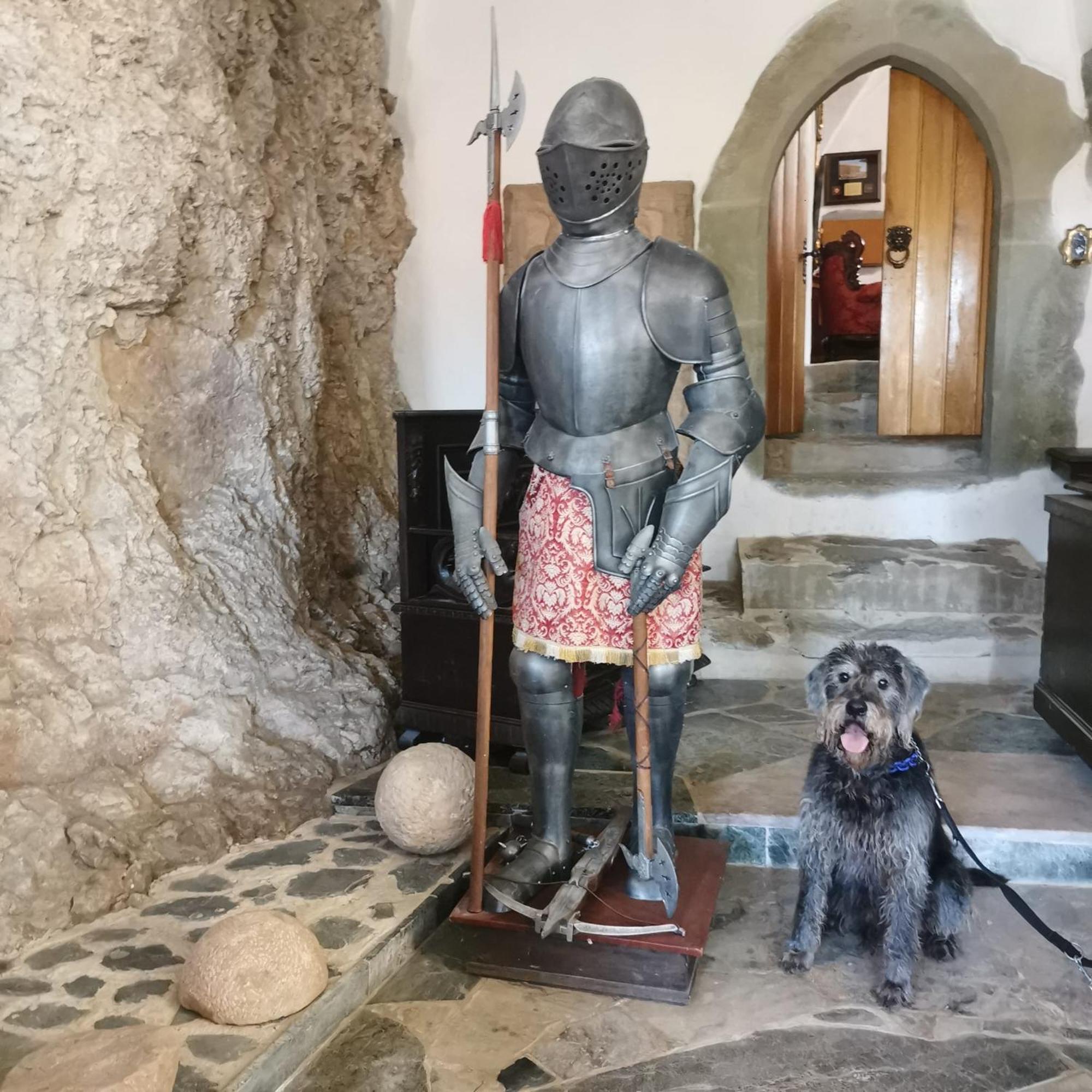 فيتسلار Burg Hermannstein - Kings Room المظهر الخارجي الصورة